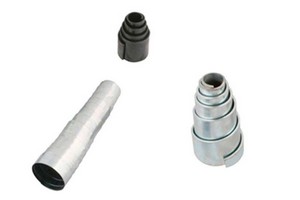 Molas voluta Molas voluta